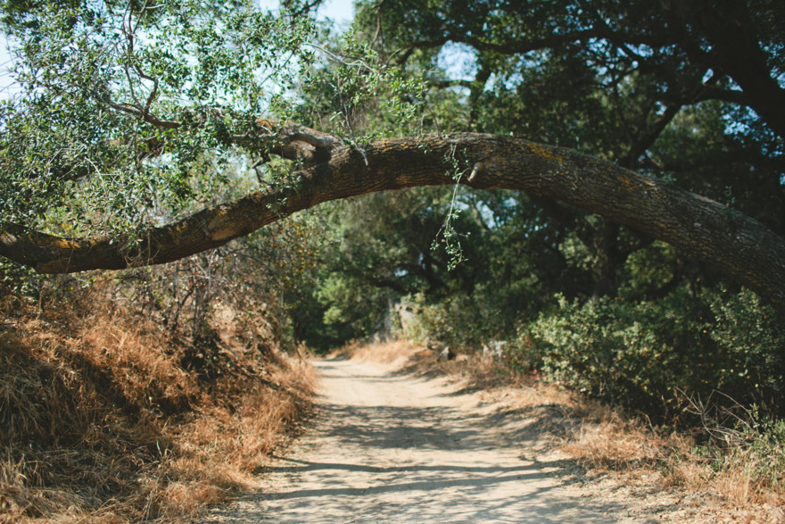 Tender Vintage Woodland Nuptials – Photo by Let's Frolic Together