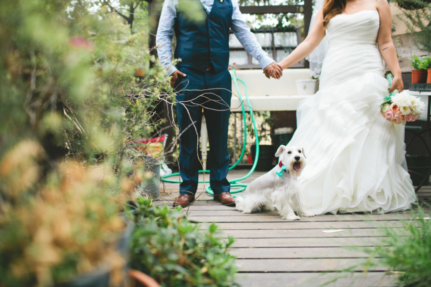 Vintage School house Wedding – Photo by Let's Frolic Together