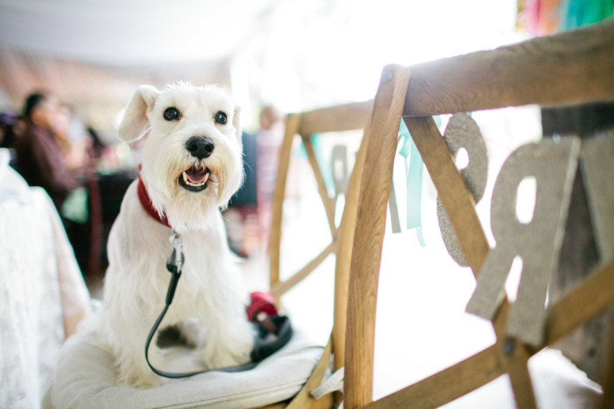 Vintage School house Wedding – Photo by Let's Frolic Together