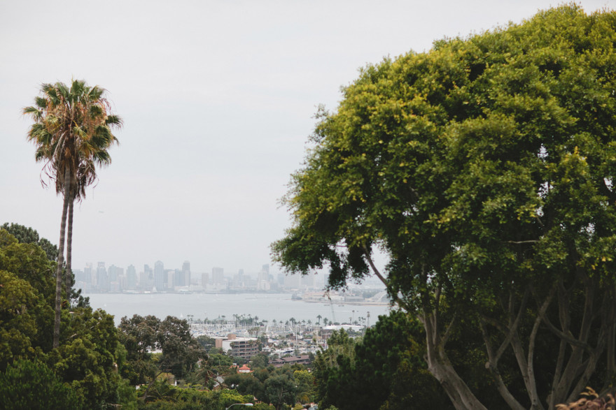 A Glam Midcentury Celebration – Photo by Let's Frolic Together