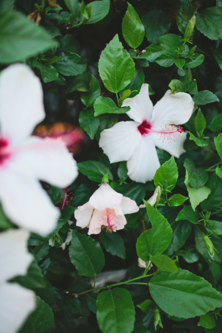 A Soulful Balboa Park Fiesta – Photo by Let's Frolic Together