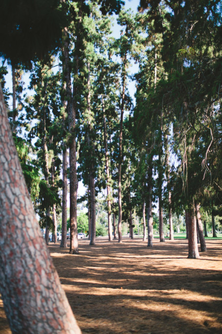 A Soulful Balboa Park Fiesta – Photo by Let's Frolic Together