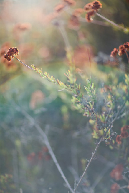 When The Sun Begins to Set – Photo by Let's Frolic Together