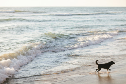 When The Sun Begins to Set – Photo by Let's Frolic Together