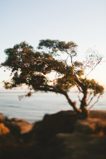When The Sun Begins to Set – Photo by Let's Frolic Together