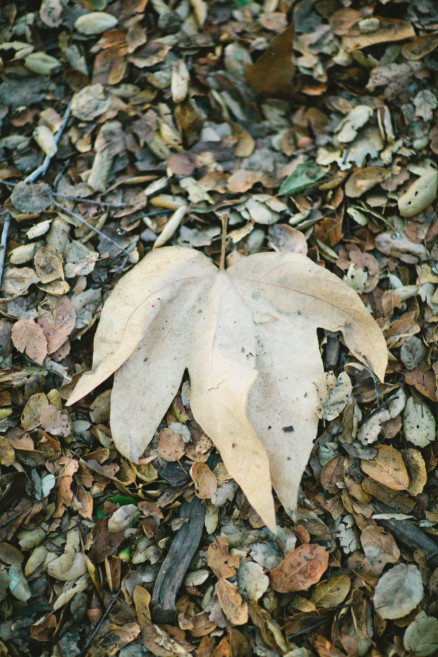 Barefoot in a Babbling Brook – Photo by Let's Frolic Together