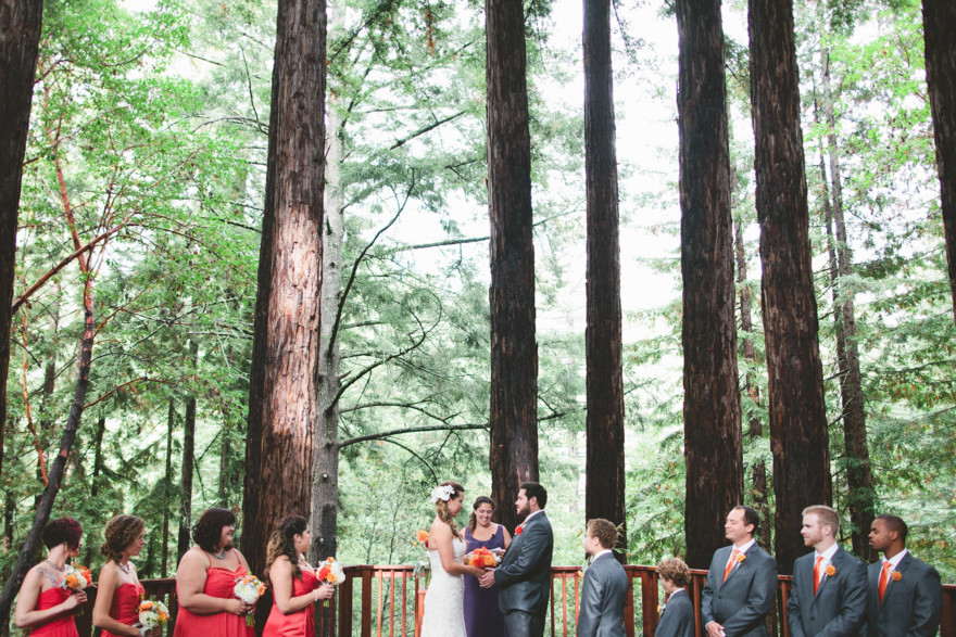 Dreamy Fog in the Redwoods – Photo by Let's Frolic Together