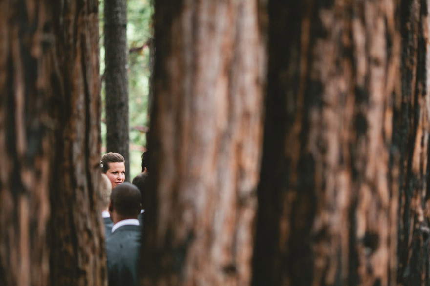 Dreamy Fog in the Redwoods – Photo by Let's Frolic Together