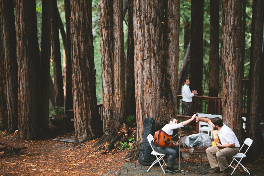 Dreamy Fog in the Redwoods – Photo by Let's Frolic Together