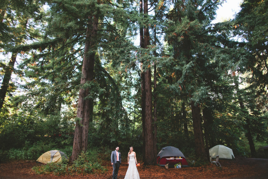 Dreamy Fog in the Redwoods – Photo by Let's Frolic Together