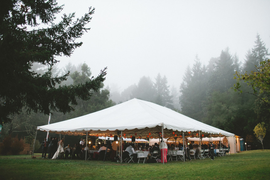 Dreamy Fog in the Redwoods – Photo by Let's Frolic Together