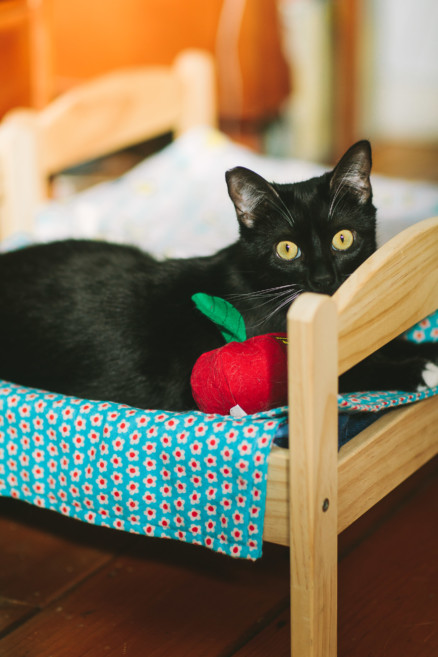 Love! Inspired By… Cats! – Photo by Let's Frolic Together