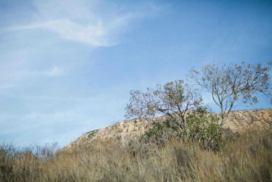 A Rustic Family Adventure – Photo by Let's Frolic Together