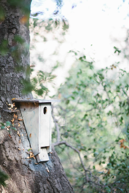 A Rustic Family Adventure – Photo by Let's Frolic Together