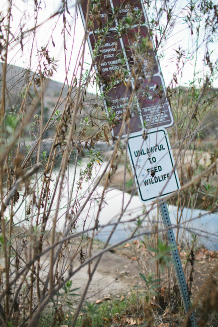 A Rustic Family Adventure – Photo by Let's Frolic Together