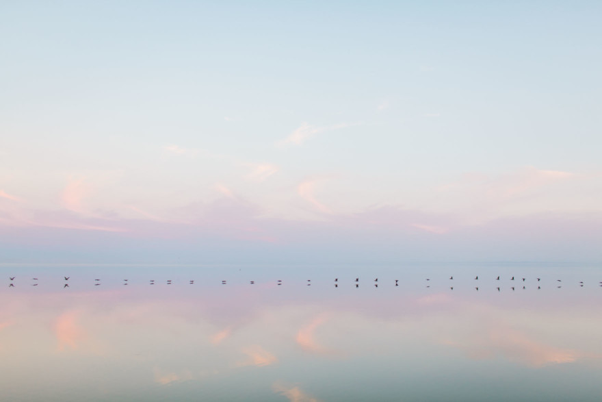 A Year of Impossible Magic – Photo by Let's Frolic Together