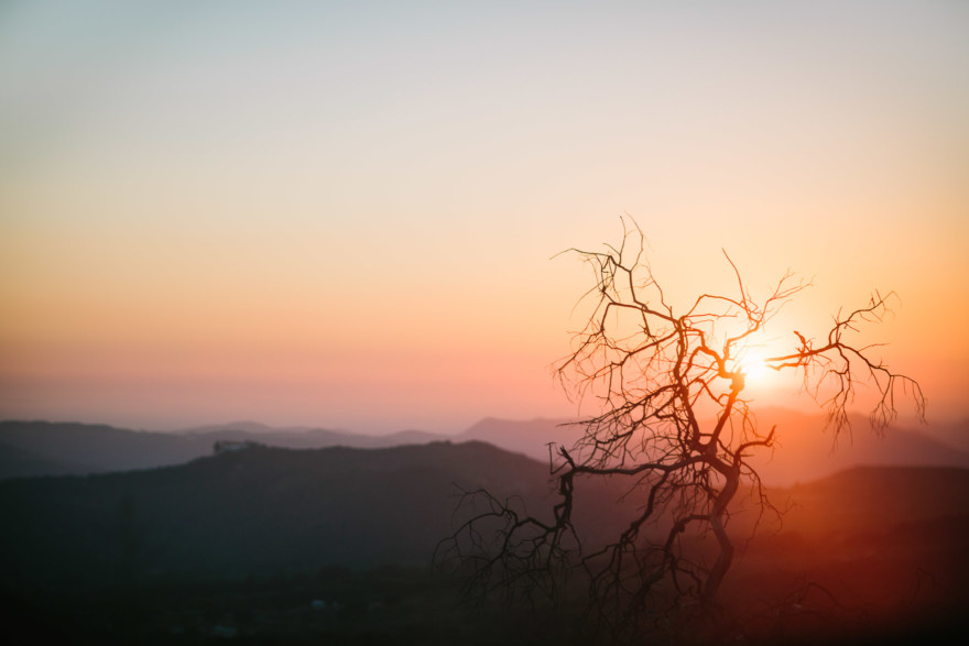 A Year of Impossible Magic – Photo by Let's Frolic Together