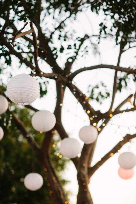 A Year of Impossible Magic – Photo by Let's Frolic Together