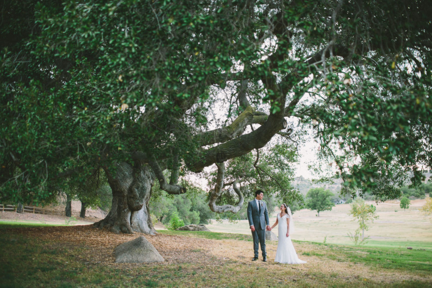 A Sweet Pink Bates Nut Farm Wedding – Photo by Let's Frolic Together