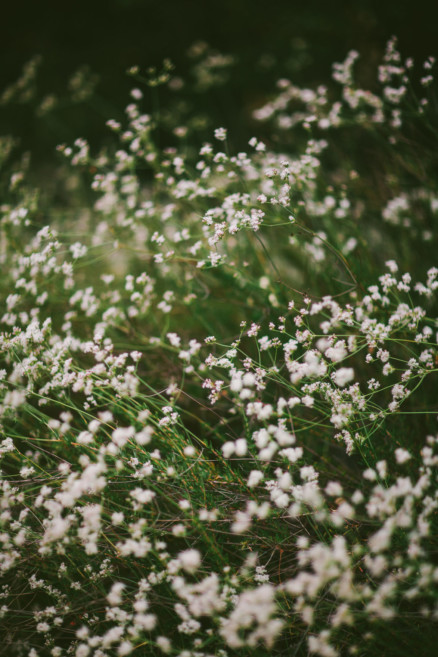 Rustic Bear-Themed San Diego Garden Wedding – Photo by Let's Frolic Together