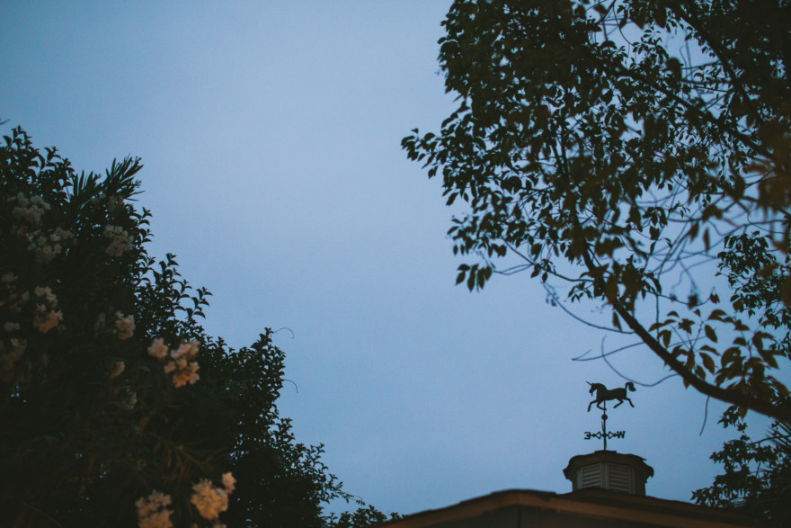 Rustic Bear-Themed San Diego Garden Wedding – Photo by Let's Frolic Together