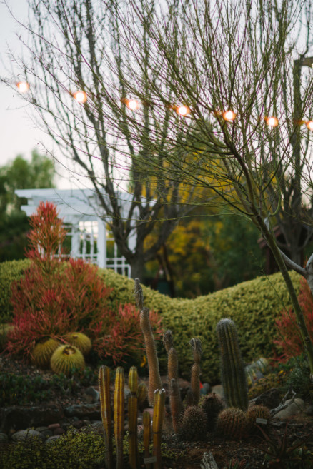 A Handcrafted Desert Garden Wedding – Photo by Let's Frolic Together