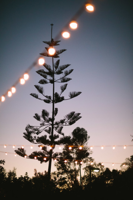 A Handcrafted Desert Garden Wedding – Photo by Let's Frolic Together