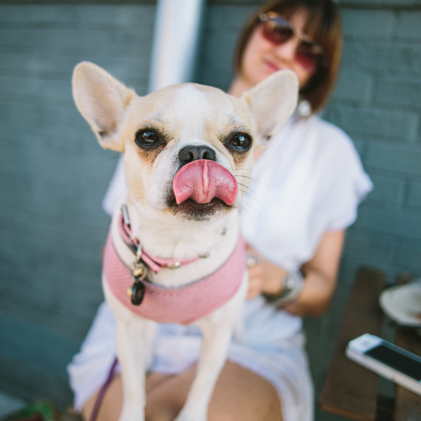 Maker’s Arcade San Diego Craft Fair &ndash; Photo by Let's Frolic Together