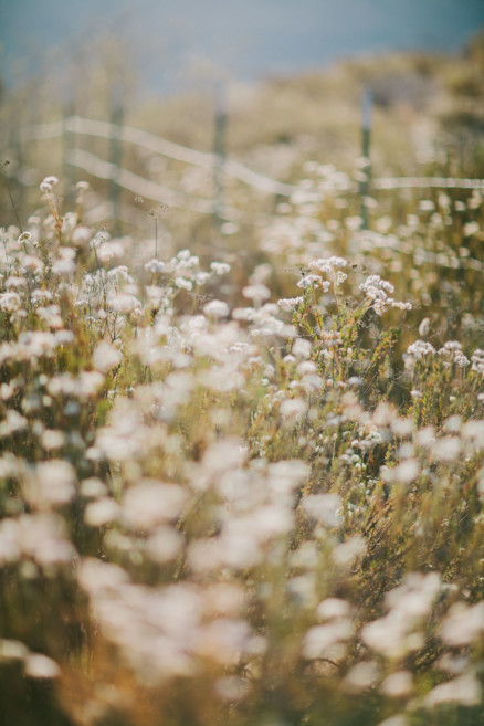 Coffee & Tender Trail Snuggling – Photo by Let's Frolic Together
