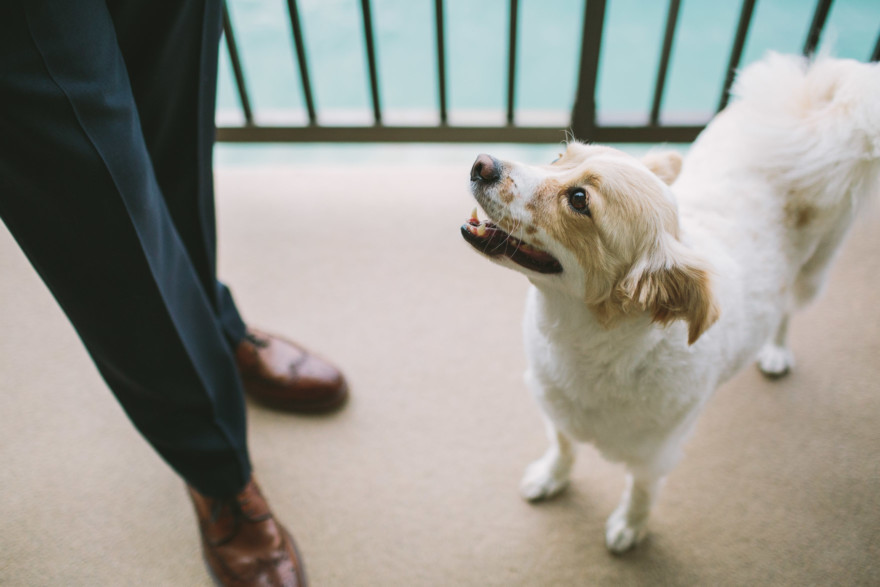 Misty Surf & Sand Resort Wedding – Photo by Let's Frolic Together