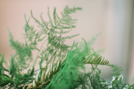 Misty Surf & Sand Resort Wedding – Photo by Let's Frolic Together