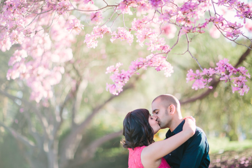 A Pink Picnic at Balboa Park – Photo by Let's Frolic Together