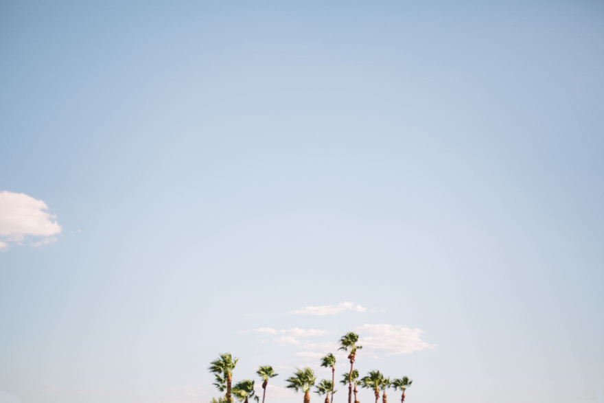Desert Dream at Hotel Lautner – Photo by Let's Frolic Together