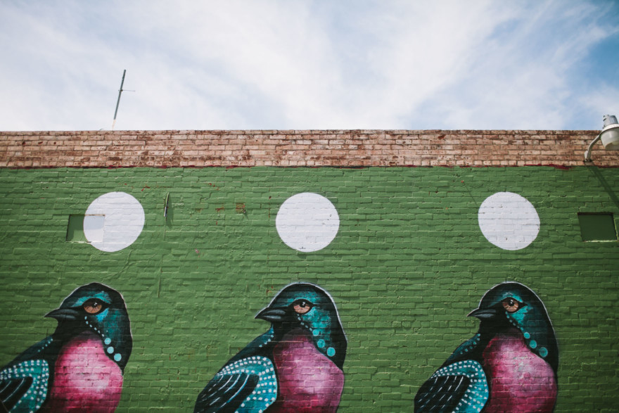 A Boozy Backyard Laugh Fest – Photo by Let's Frolic Together