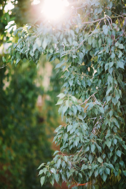 A Boozy Backyard Laugh Fest – Photo by Let's Frolic Together