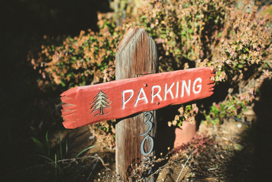 Christmas Trees, Cider, and Coziness – Photo by Let's Frolic Together