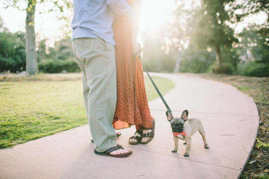 Forest Cuddles With a Frenchie – Photo by Let's Frolic Together