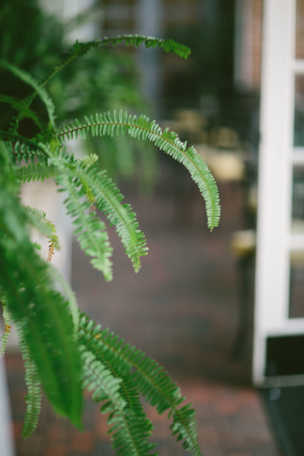 Historic Horton Grand Hotel Wedding – Photo by Let's Frolic Together