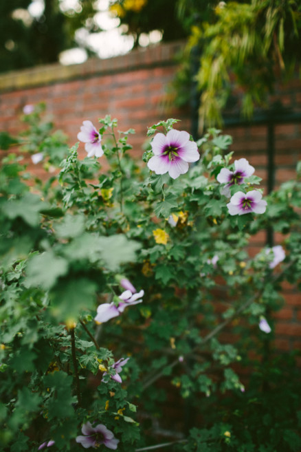 Coffee, History, & Cuties: True Love – Photo by Let's Frolic Together