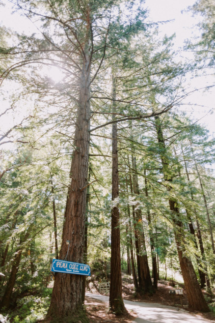 Music Festival Wedding at Pema Osel Ling – Photo by Let's Frolic Together