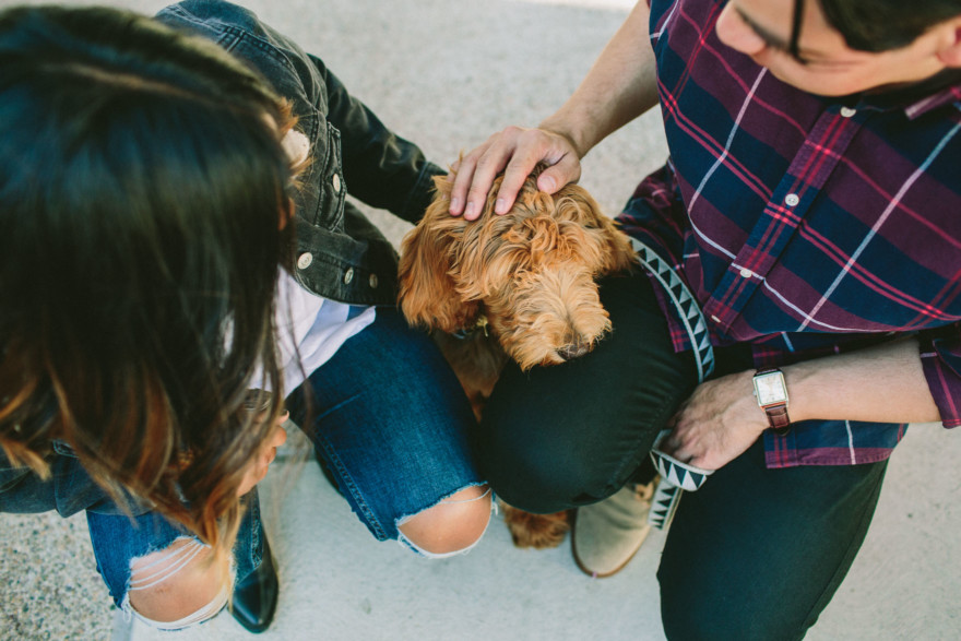 Urban Wandering + Golden Doodle – Photo by Let's Frolic Together
