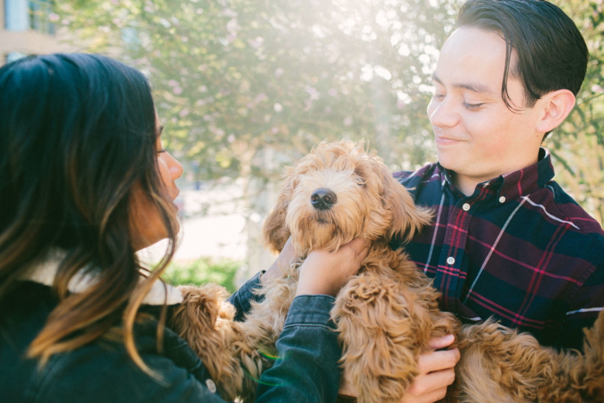 Urban Wandering + Golden Doodle – Photo by Let's Frolic Together