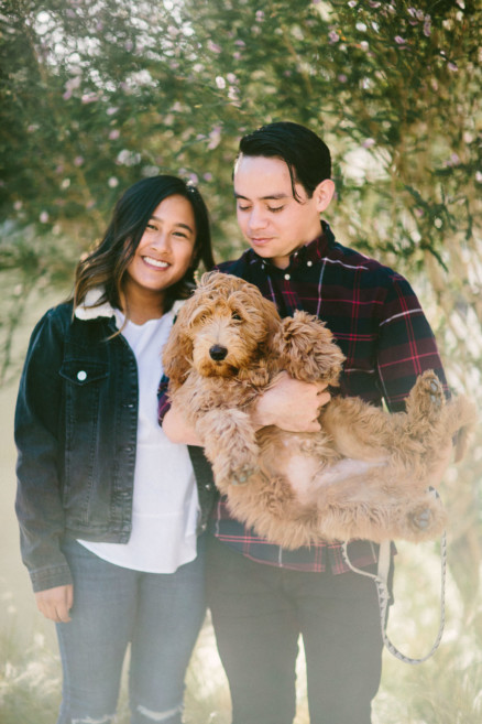 Urban Wandering + Golden Doodle – Photo by Let's Frolic Together