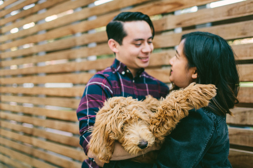 Urban Wandering + Golden Doodle – Photo by Let's Frolic Together