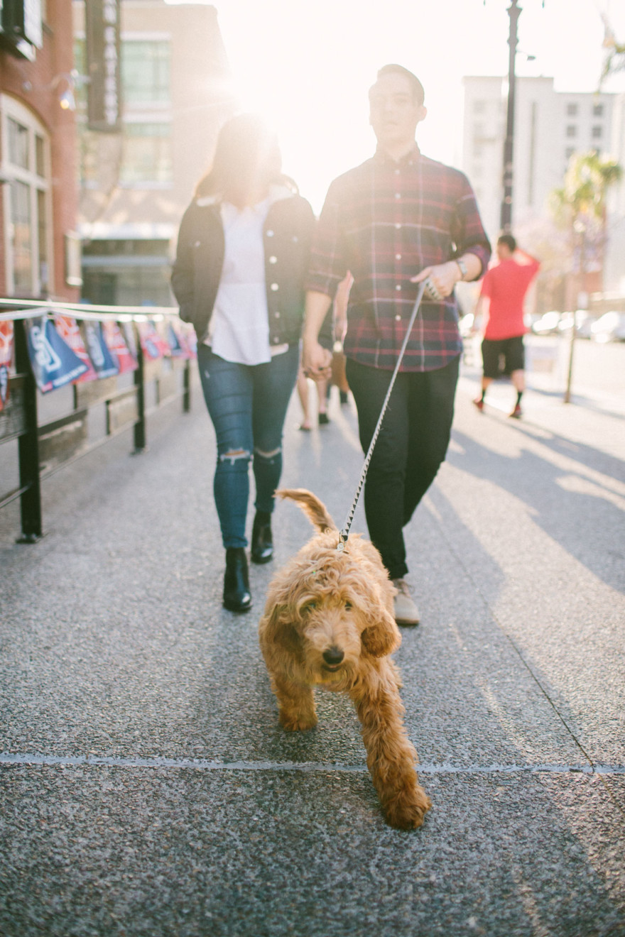 Urban Wandering + Golden Doodle – Photo by Let's Frolic Together