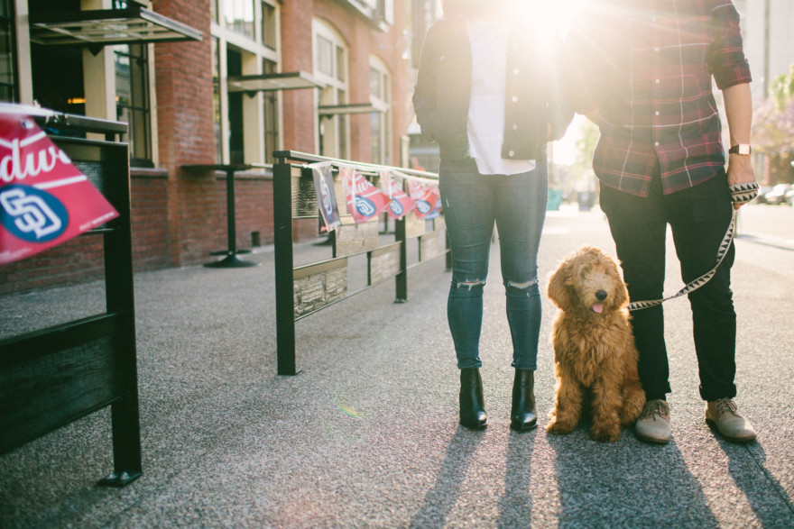 Urban Wandering + Golden Doodle – Photo by Let's Frolic Together