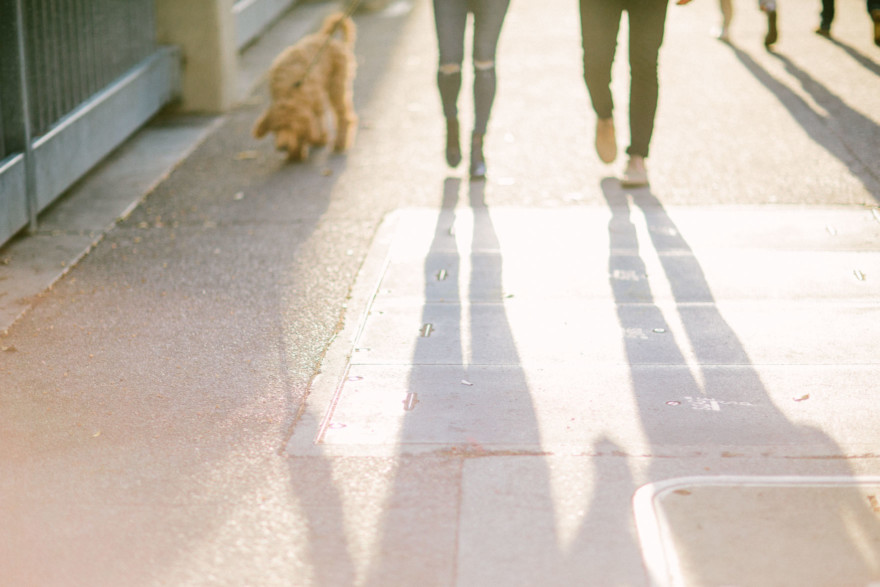 Urban Wandering + Golden Doodle – Photo by Let's Frolic Together