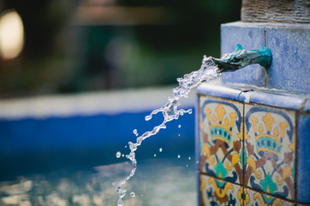 Botanical Balboa Park Adventure – Photo by Let's Frolic Together