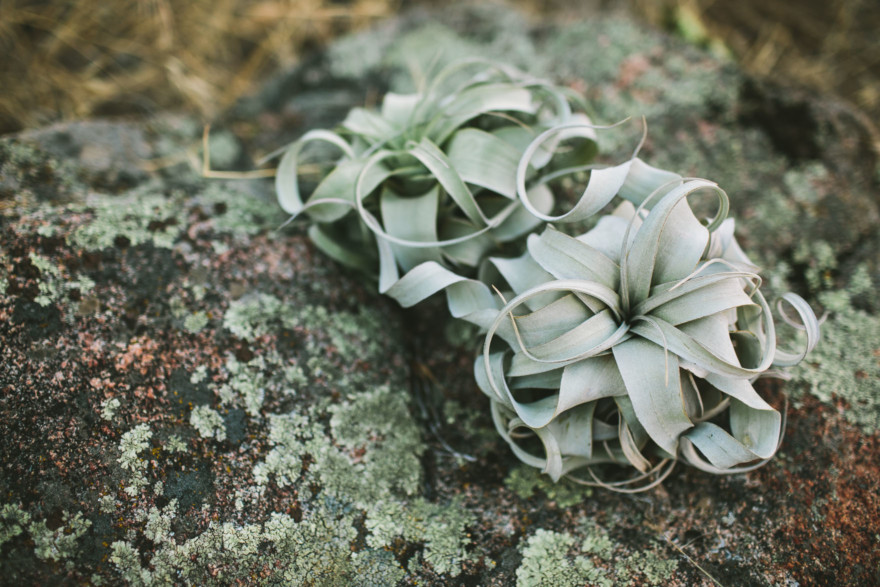 Spellbound Moody Wedding Inspiration – Photo by Let's Frolic Together