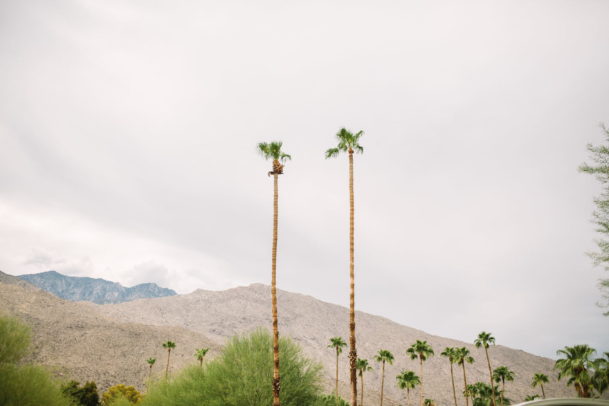 Modern Glam Palm Springs Wedding – Photo by Let's Frolic Together